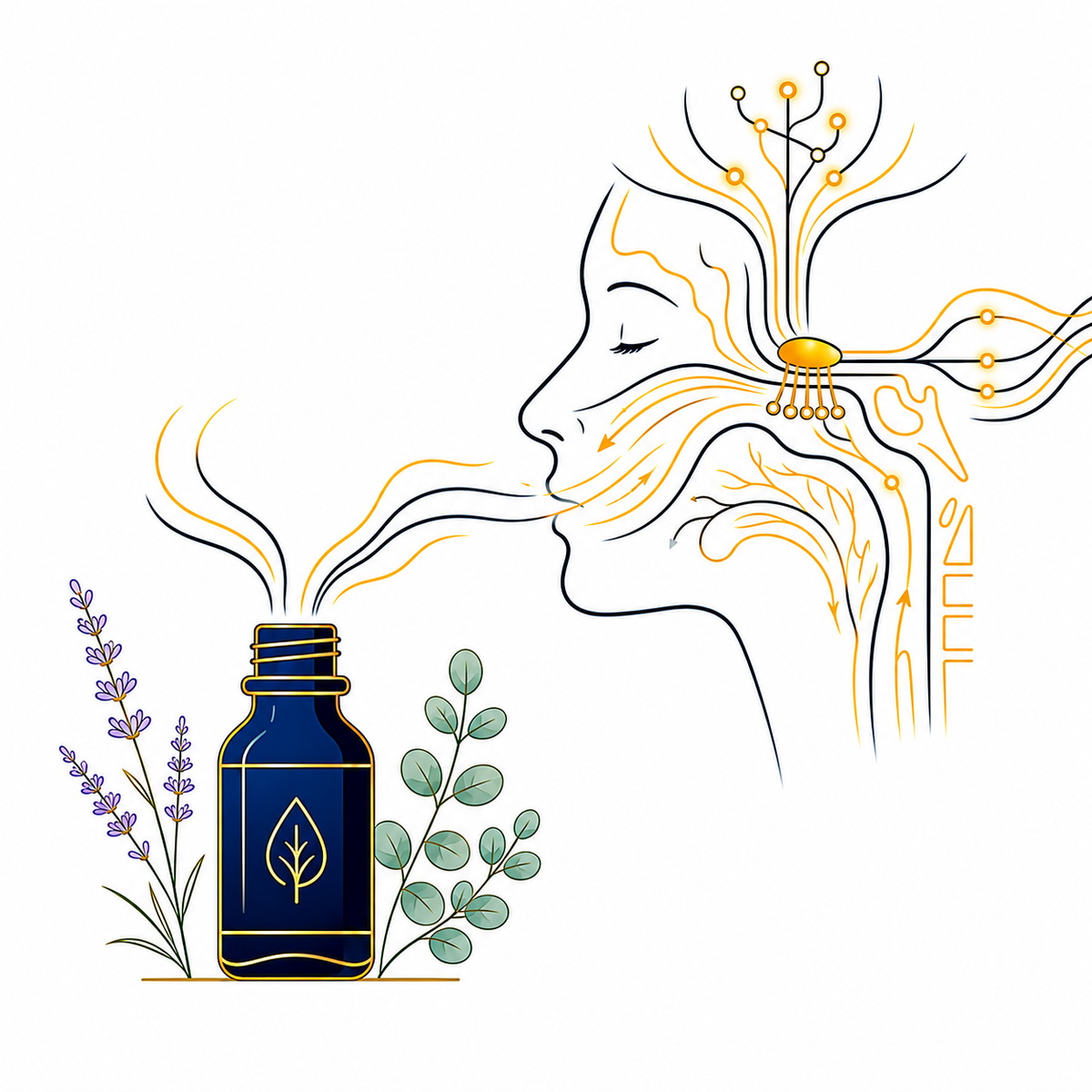 Heat and aromatherapy self-care for relaxation and comfort
