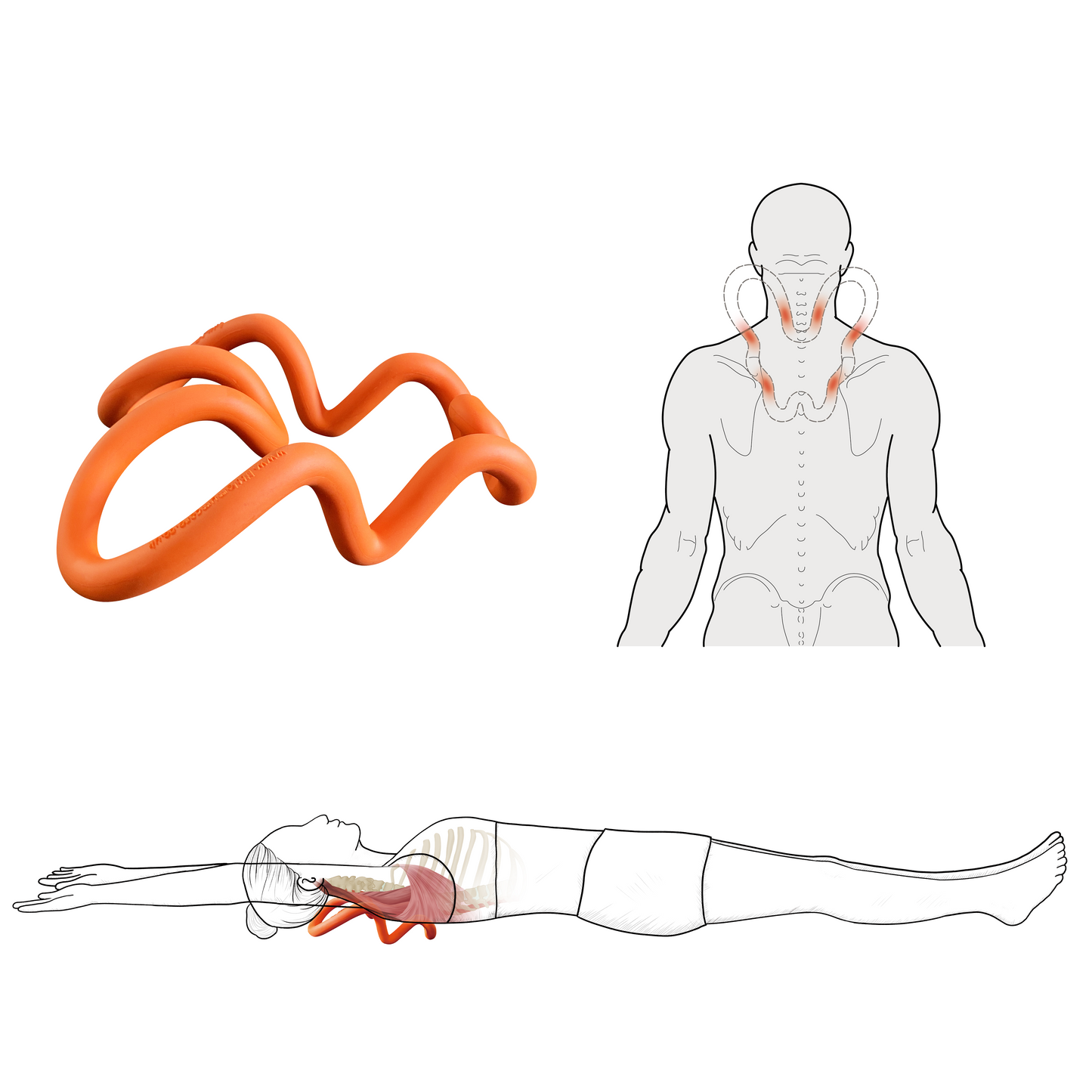 While stretching out a bend-forward upper back and middle back, six peak point smoothly release the muscles tension attached to shoulder blade, such as Trapezius, Rhomboids, Levator Scapula, Latissimus Dorsi . It works all areas of the scapula so that tension in one area isn’t released at the expense of another