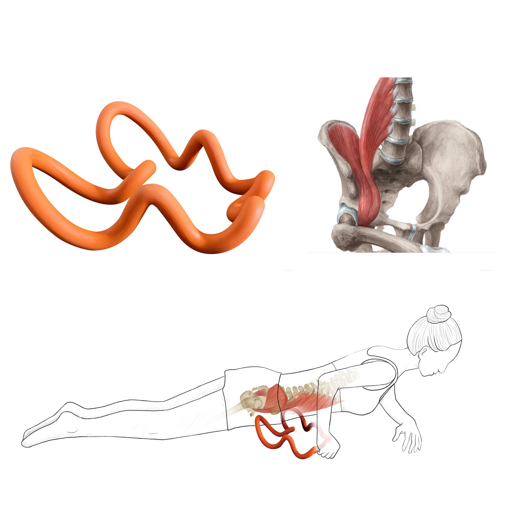 Psoas Muscle Release